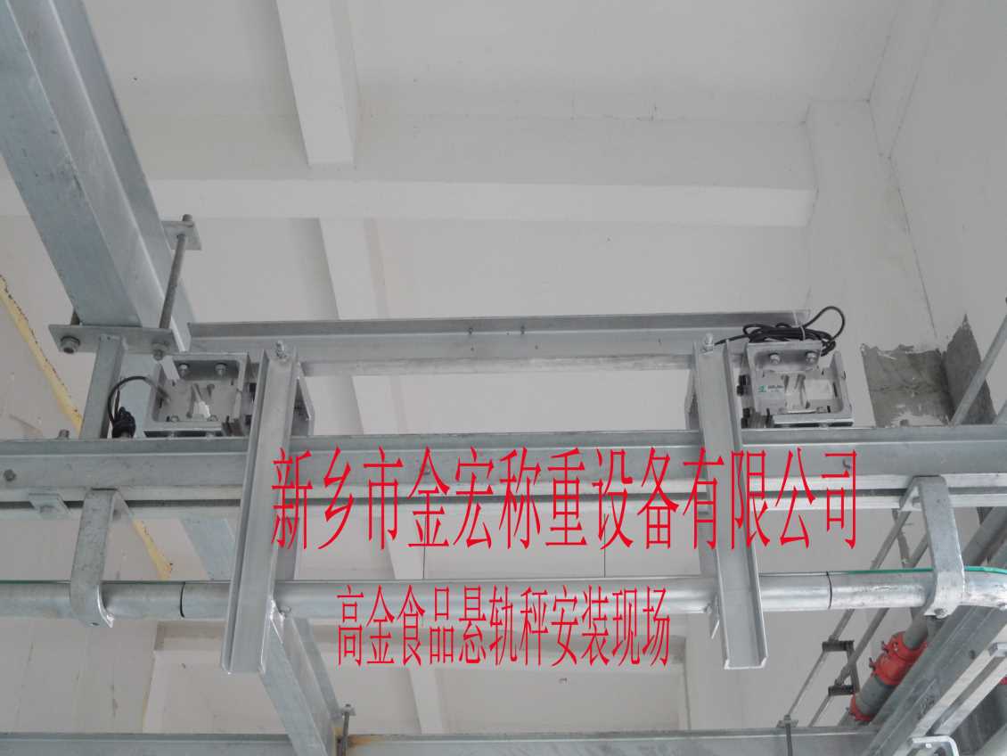 广东电子悬轨秤