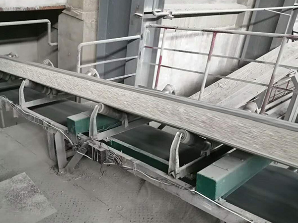 广东装车皮带计量秤
