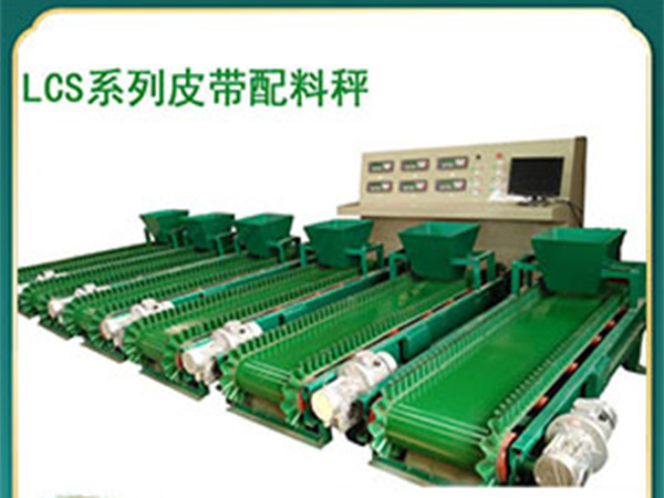 广东裙边橡胶带定量给料机