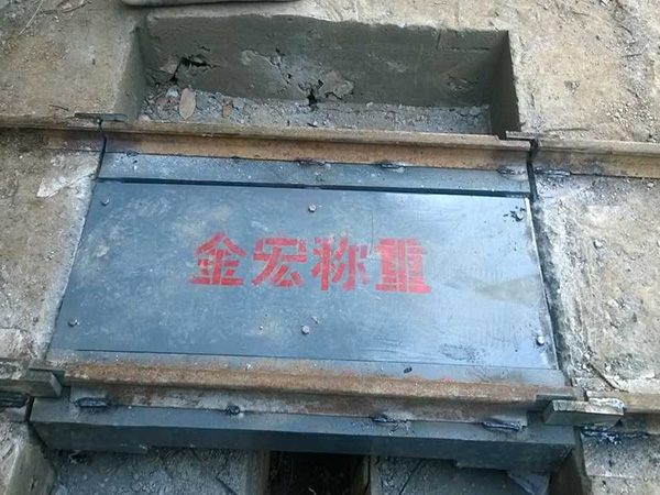 广东电子轻轨衡
